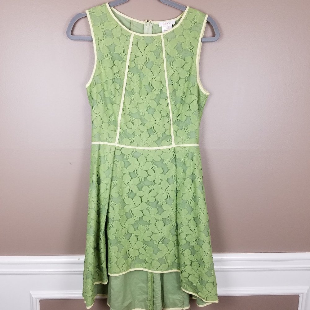 Esley Spring Floral Sleeveless Lace High Low Dress
